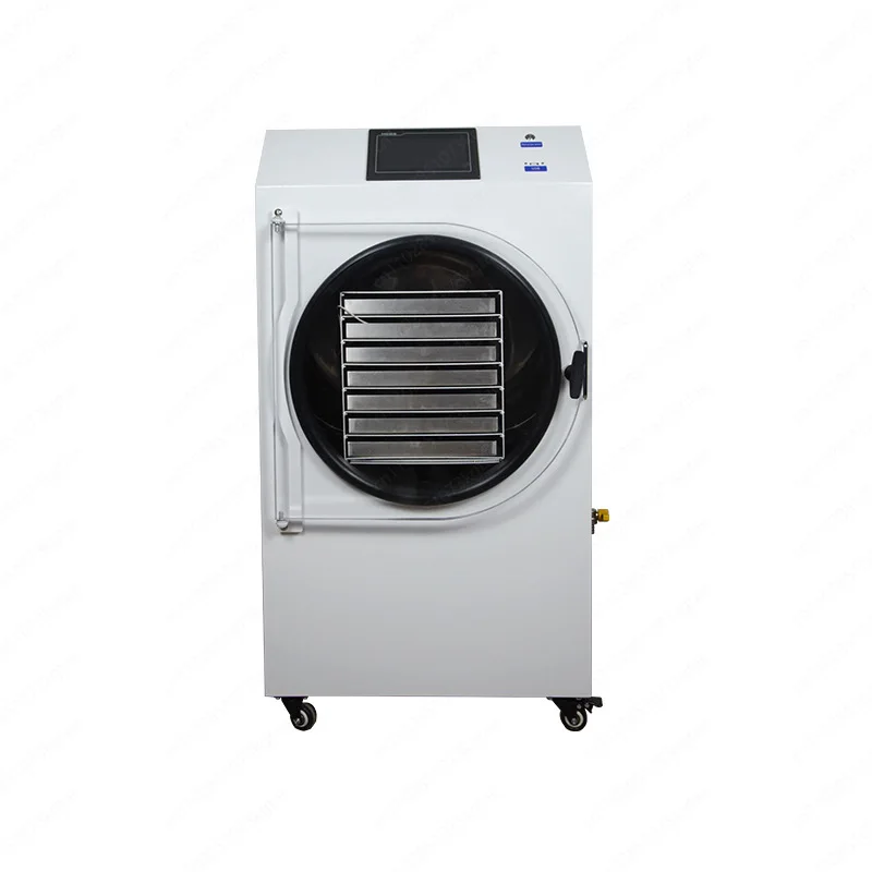 Freeze dryer Dehydrator 304 stainless steel 15-20 kg capacity Double voltage 1.5 Freeze-dried area