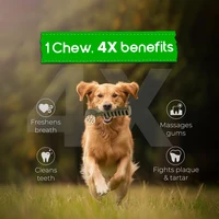 Dental Chews for Dogs, Vet-Recommended Mint & Tea Flavored Dental Dog Treats for Small Dogs, Bones Clean Teeth, Fight Bad Breath 3