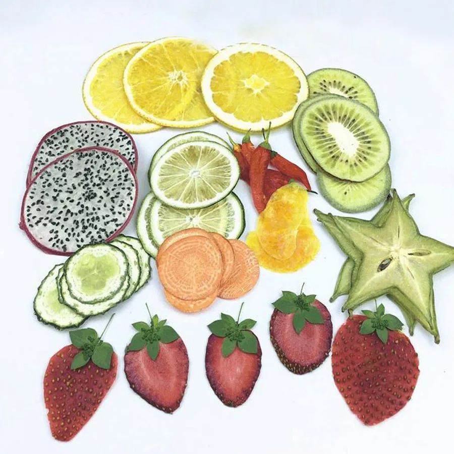 40pcs Dried Pressed Mixed Exopy Fruits+Vegetables Slices Plant Herbarium For Jewelry Photo Frame Phone Case Craft DIY Making Hot