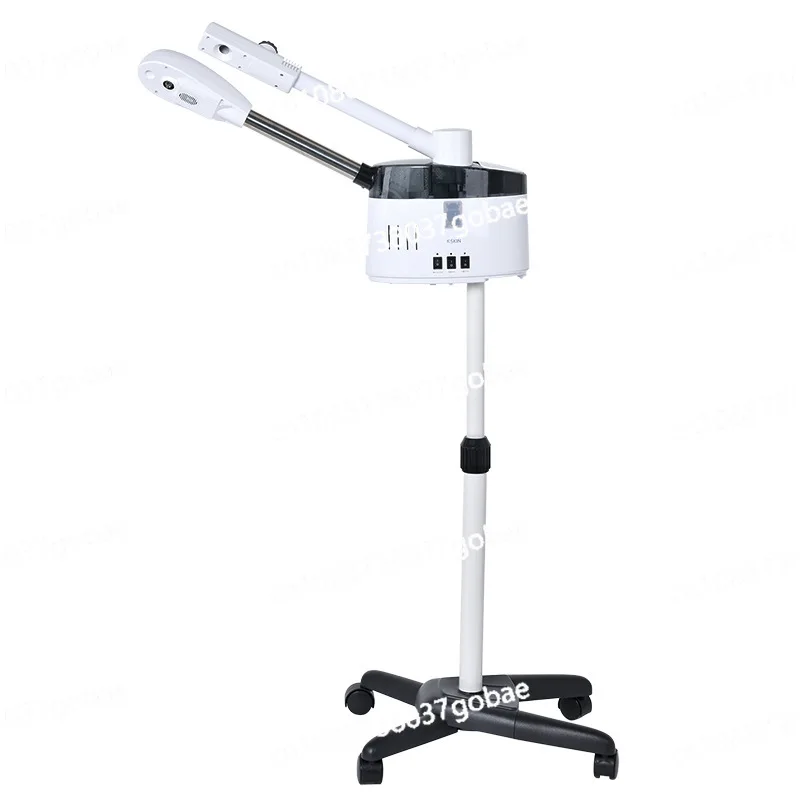 

Face steamer, hot and cold double spray machine, special face steamer for beauty salons