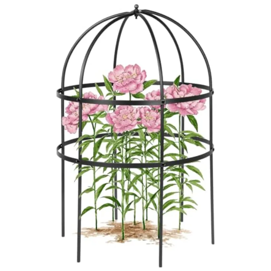 

Garden bird cage plant support for perennial flowers: 24 H sturdy steel black rust-resistant and decorative grow-through design