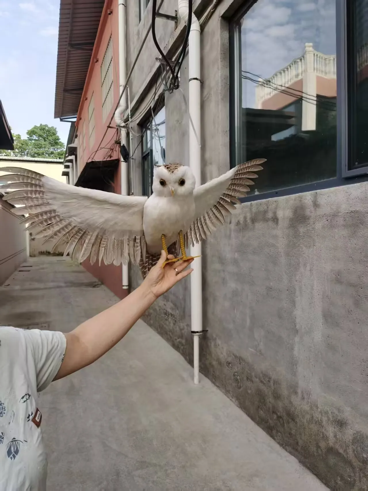 big simulation foam&feather wings owl model garden decoration gift about 40x70cm d0599