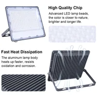 LED Flood Light AC 220V 100W 200W 300W 10W 20W 30W 50W IP66 Waterproof LED Spotlight Floodlights Garden Street Gate Wall