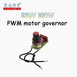 1PCS Ac 220V PWM motor governor 100W exhaust fan fan speed regulation LED dimmer switch module