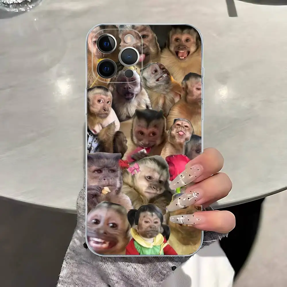 الإبداعية القرد نمط قضية الهاتف آيفون 17 16 15 8 7 6 6S زائد X SE XR XS 14 11 12 13 ميني برو ماكس المحمول