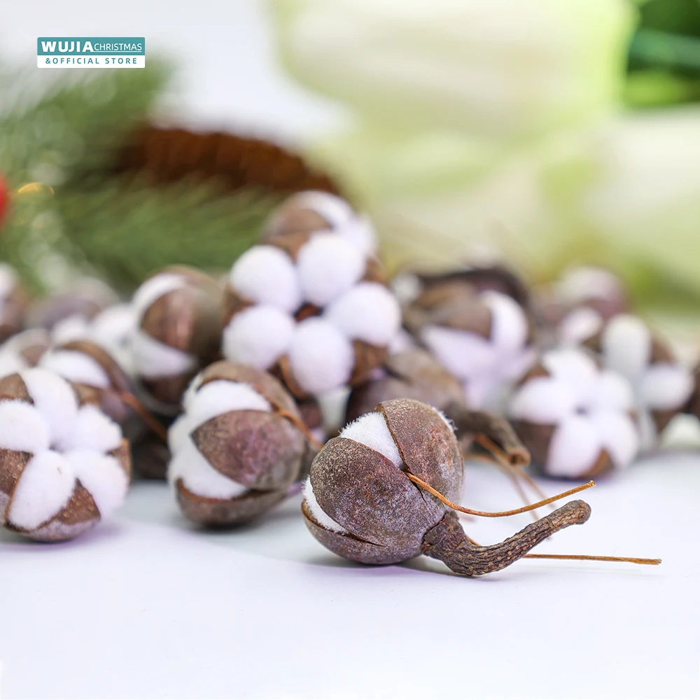 Flores secas naturais do algod - Dried Flower Bulk avaliação e preço