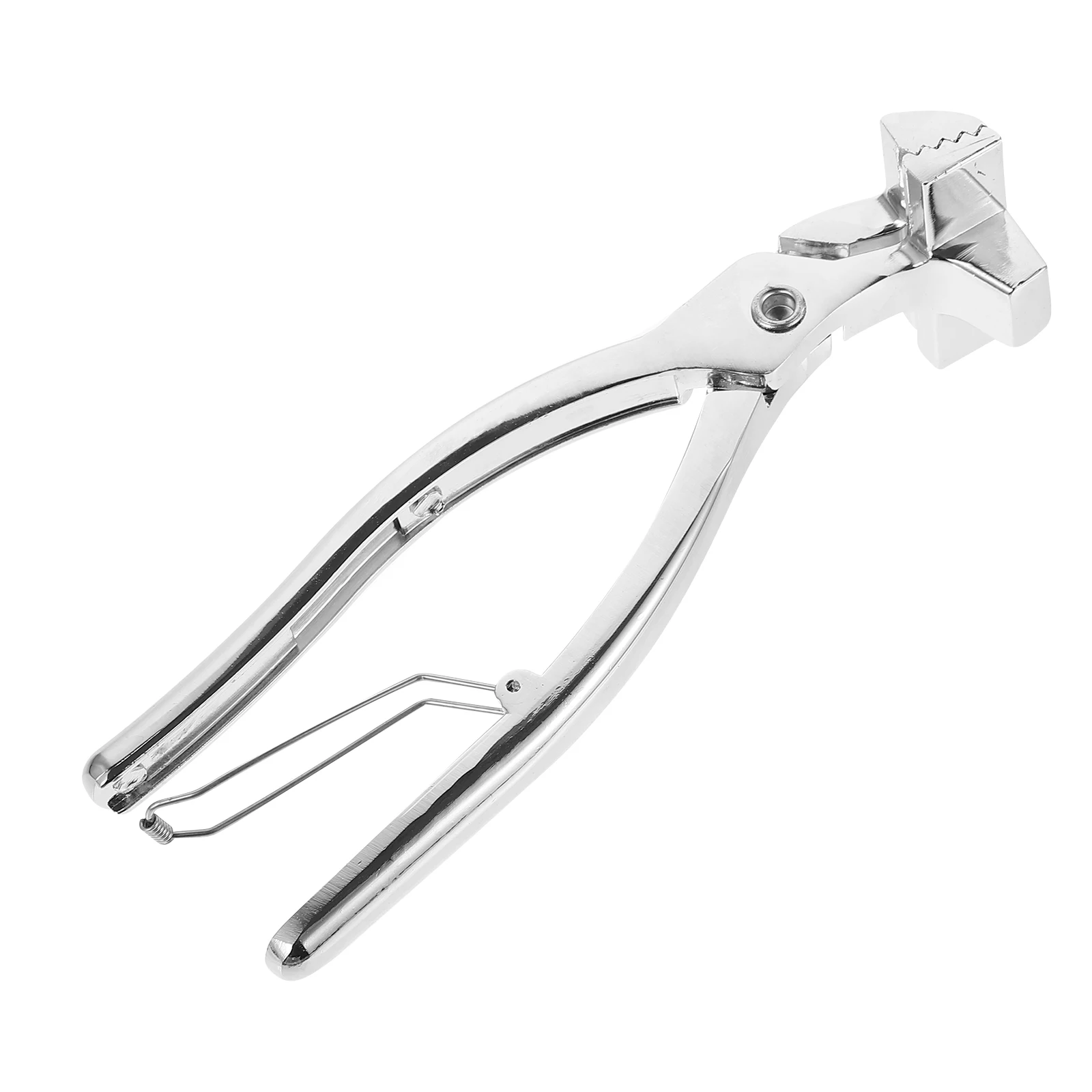

1pc Oil Painting Clip Canvas Clips Framing Tool Stainless Steel Frame Holder Stretch Carrier For Paintings Separating Clamps