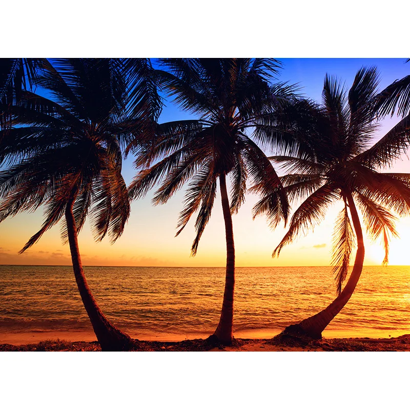 Shuozhike-夏の熱帯の海のビーチの写真の背景、ヤシの木、美しい写真の背景、写真スタジオの小道具、HJK-03