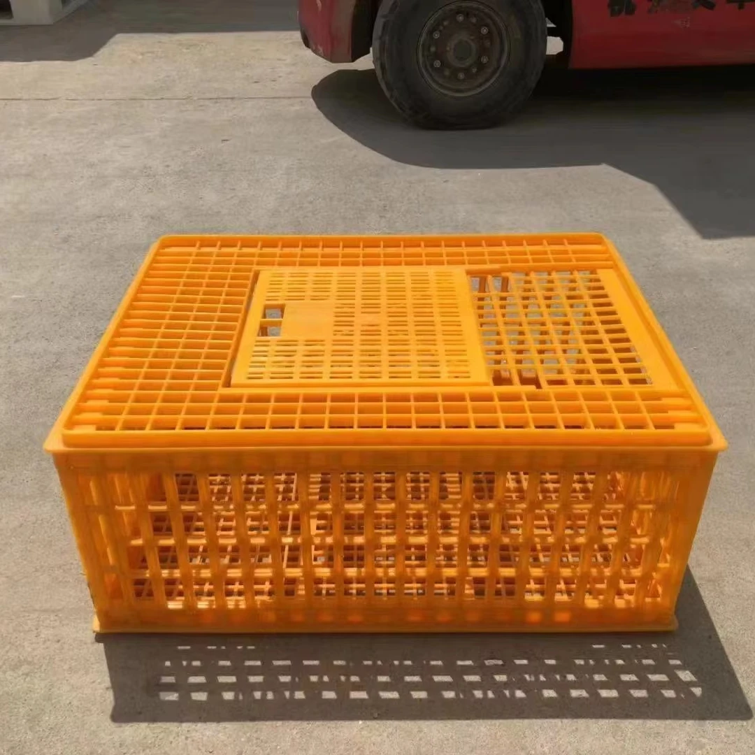 

Poultry Multicolor Plastic Transport Basket Adult Chicken/Duck/Goose Chicken Coop Battery Cages for Poultry Chicken Layer