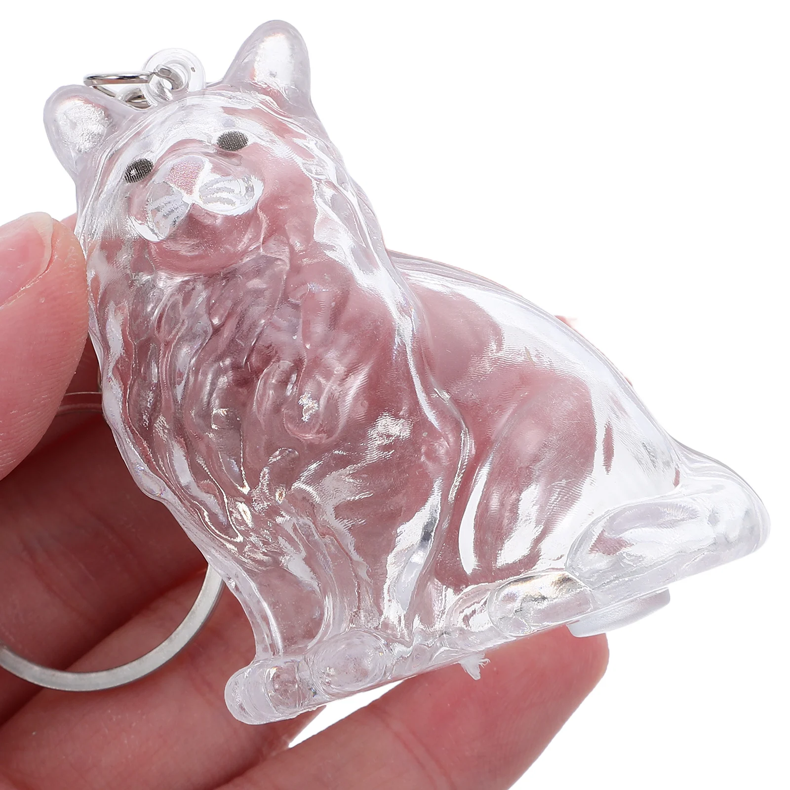 

Cat Hair Storage Box Transparent Keychain Portable Clear Lid Pet Hair Collector Memorial Keepsake Souvenir Pet Memorial Keychain