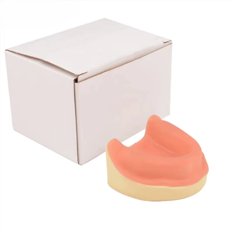 

Maxillary Edentulous Model for Dentals Implants Training