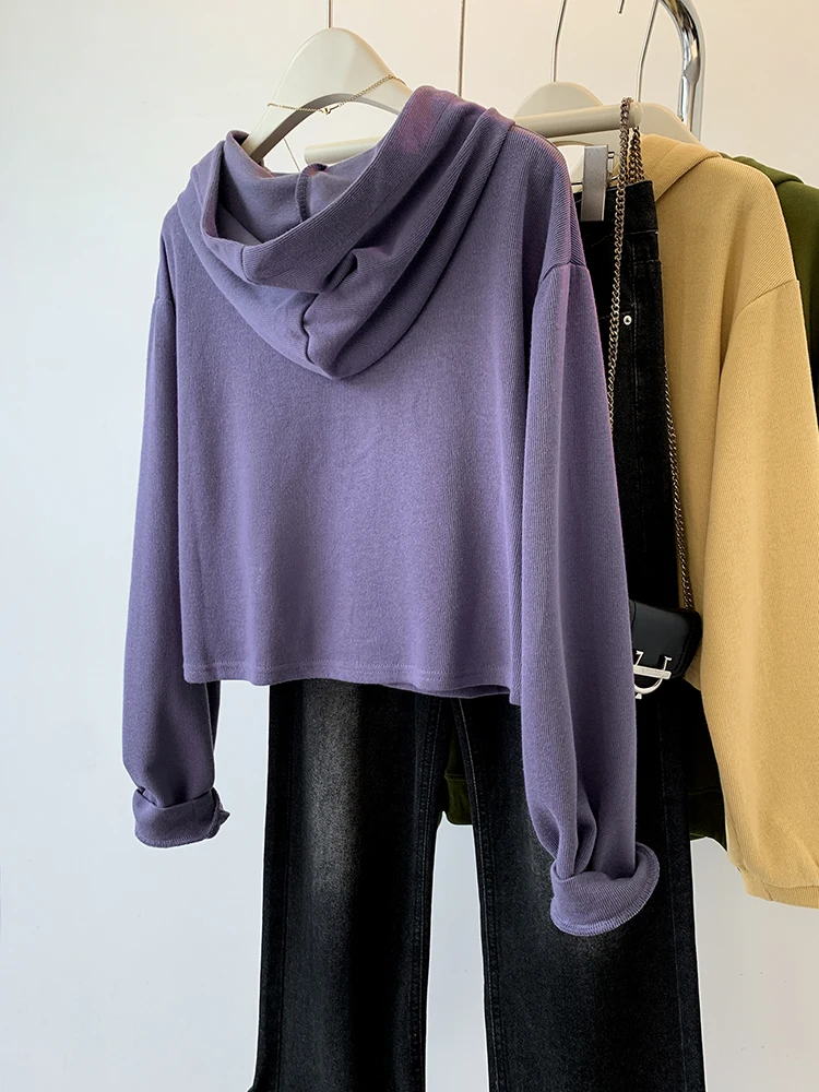 Cárdigan con capucha para mujer, ropa de calle coreana, Tops cortos de un solo pecho, abrigo de manga larga de Color sólido, otoño e invierno, nuevo