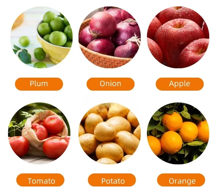 High Efficient Kiwi Potato Zucchini Tomato Cucumber Onion Size Sorting Grading Machine Line for Sort Nuts Fruits and Vegetables