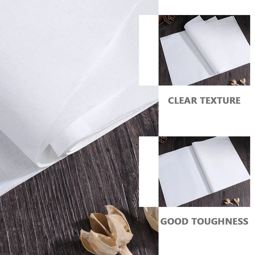 120 قطعة من ورق شوان للخط الصيني الممتاز لكتابة الرسم الفني والممارسة الرسم وفرشاة ورق الأرز والحبر والكتابة أوراق سومي #2