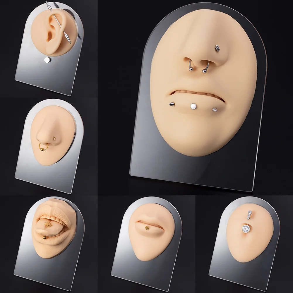 Black Flexible Silicone Human Body Model for Display