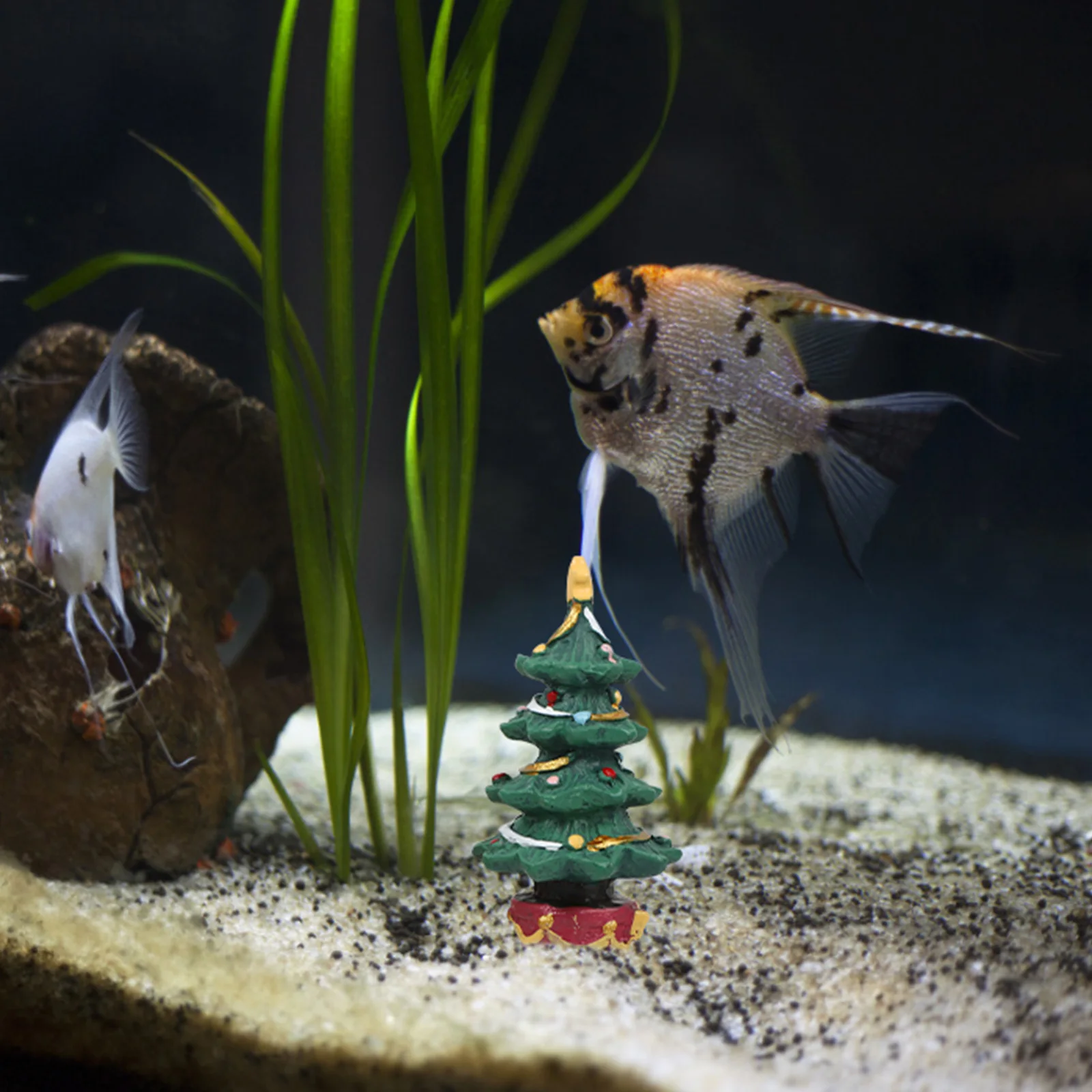 

1Set Fish Tank Resin Crafts Xmas Tree Ornament Christmas Aquarium Gift Box Decor Xmas Aquarium Ornament Fish Tank Decoration