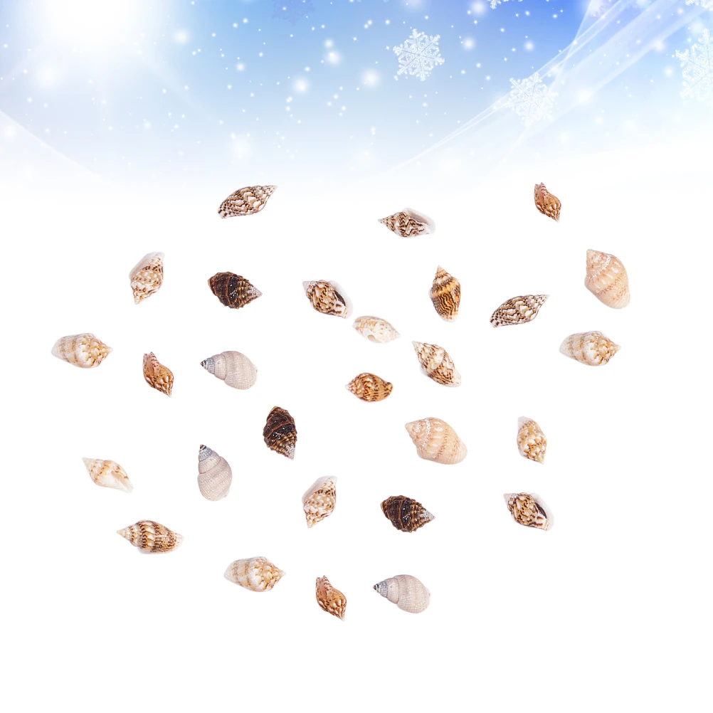 

1 Box Small Conch Shells Fish Tank Decorations Natural Seashells For Crafts Home Aquarium Decoration Beach Room Art Craft