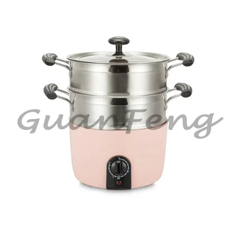 Stainless steel portable electric steamer with digital timer control, household