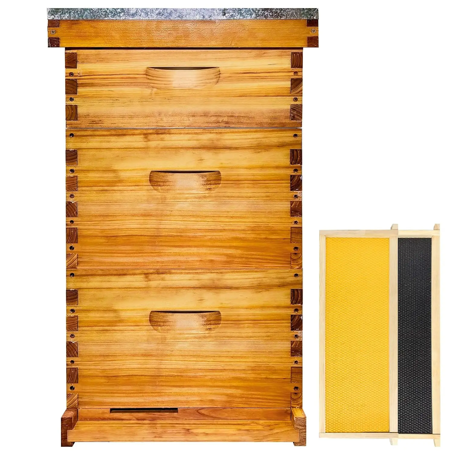 Gold Standard 10 Frame Bee Hive Beeswax Coated Includes Beehive Frames and Foundations (2 Deep Boxes & 1 Medium Box)
