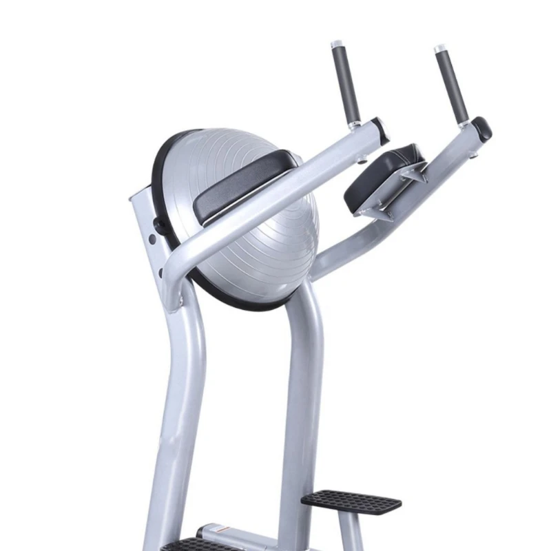 Commercial Knee Lift Trainer Parallel Bar Curl Arm Flexor Hemisphere Backrest Fitness Equipment