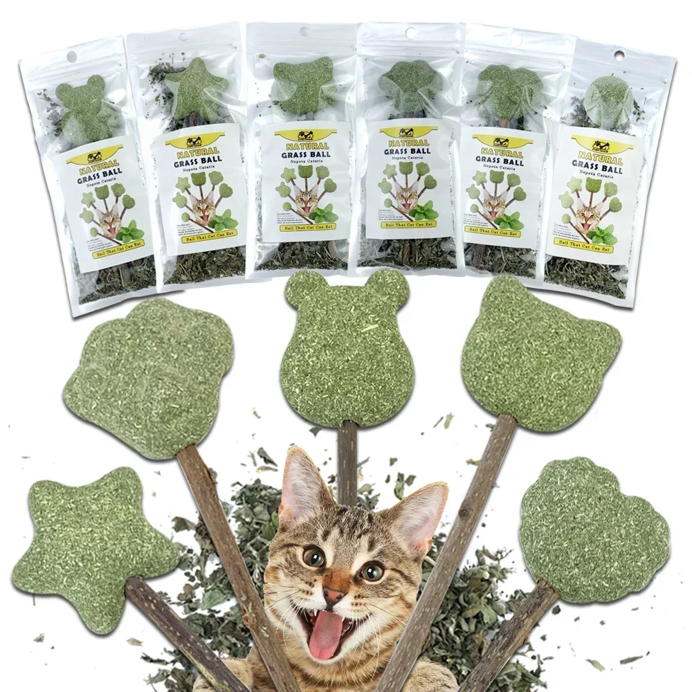 Cute Shape Fresh Cat Catnip Toys Cat Mint Natural Safety commestibile forma carina Pet Mint Lollipop Catnip Ball Cat Toy denti puliti