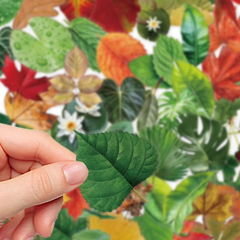 50PCS Transparent INS Style Leaf Stickers Aesthetic DIY Decorative Phone Cases Notebook Waterproof PET Bike Decals Kid Toys Gift