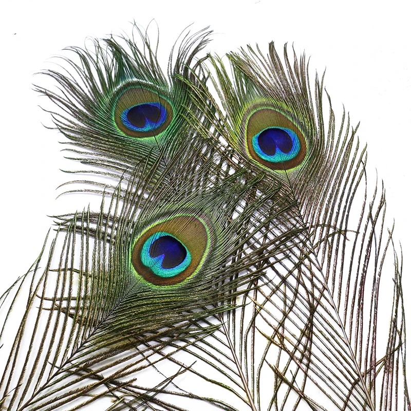 Persuader 10pcs handpicked peacock big eyed herl/sword tail feathers wings&tails fly tying materials for Sea Trout &Salmon flies