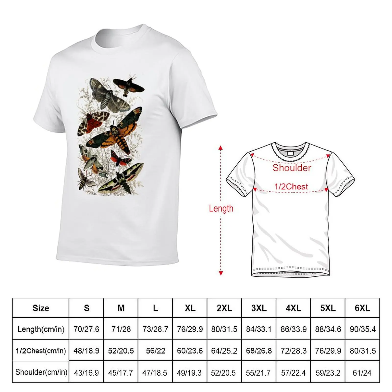 Victorian Moth Insects illustration T-Shirt Plus Size Non-Shrink T-Shirt