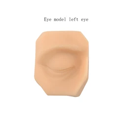 Simulation eye model, puncture and suture practice model, injection model, lip nail nail display model