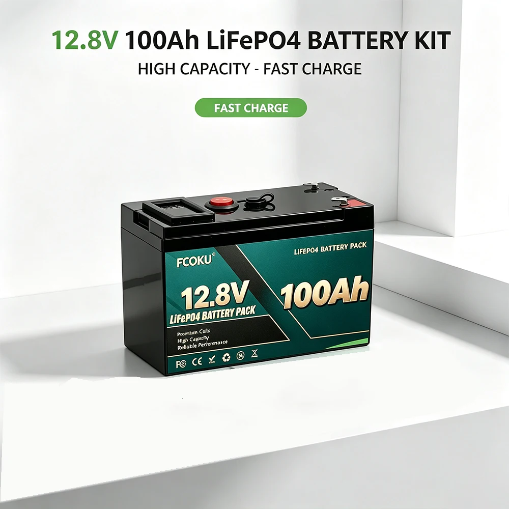 Efficient 12V 100Ah LiFePO4 Battery Built-in BMS Rechargeable for Outdoor Speaker Small TV Fan Off-grid Power