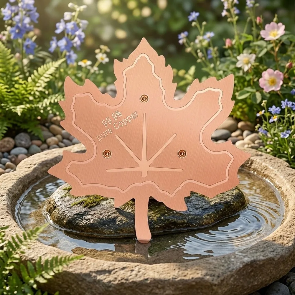 Copper Infused Water Conditioning Disk Compatible with Most Standard Size Birdbaths and Outdoor Water Features for Birds