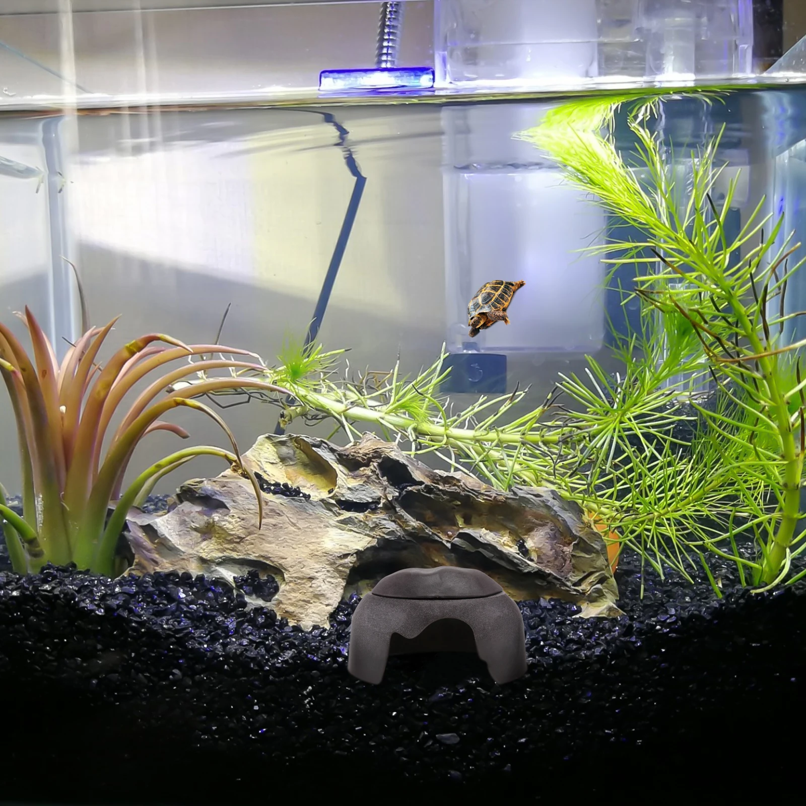 

Tortoise Humidification Hiding House Landscaping Cave Ceramic Basin Safe Material Imitation Design Spacious Space