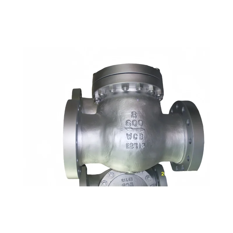 Manual Swing Check Valve with Gate Control for Water and Oil Media