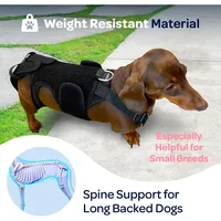 Dog Canine Brace - Back Support,For IVDD Spine Pain, Arthritis,Spinal Injury, Bulging Discs Brace for Surgery Recovery