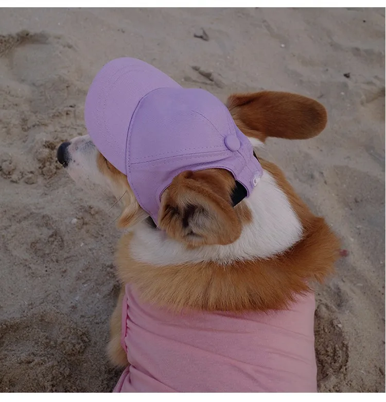 Pet Hat.