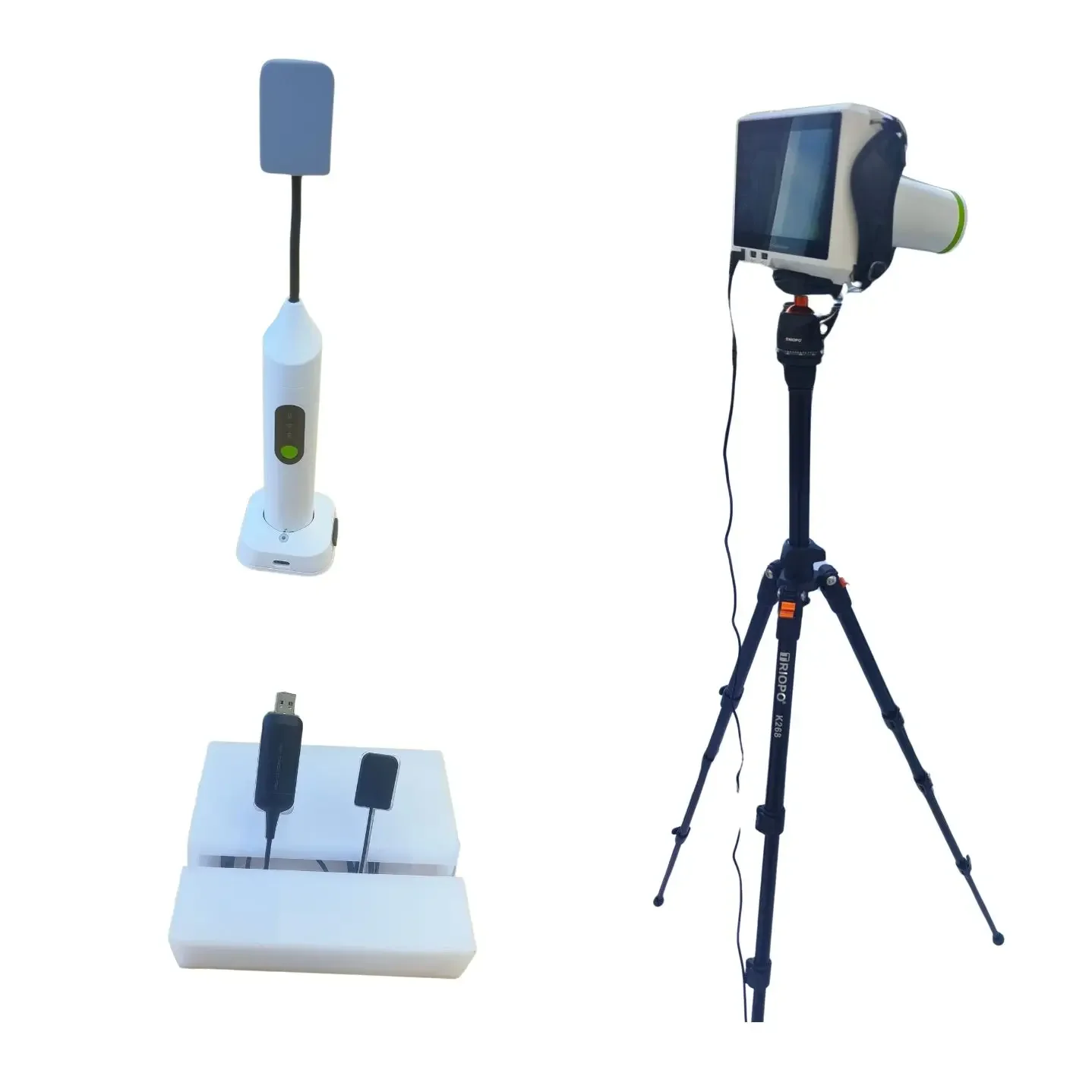 Animal Oral Dr Vete…