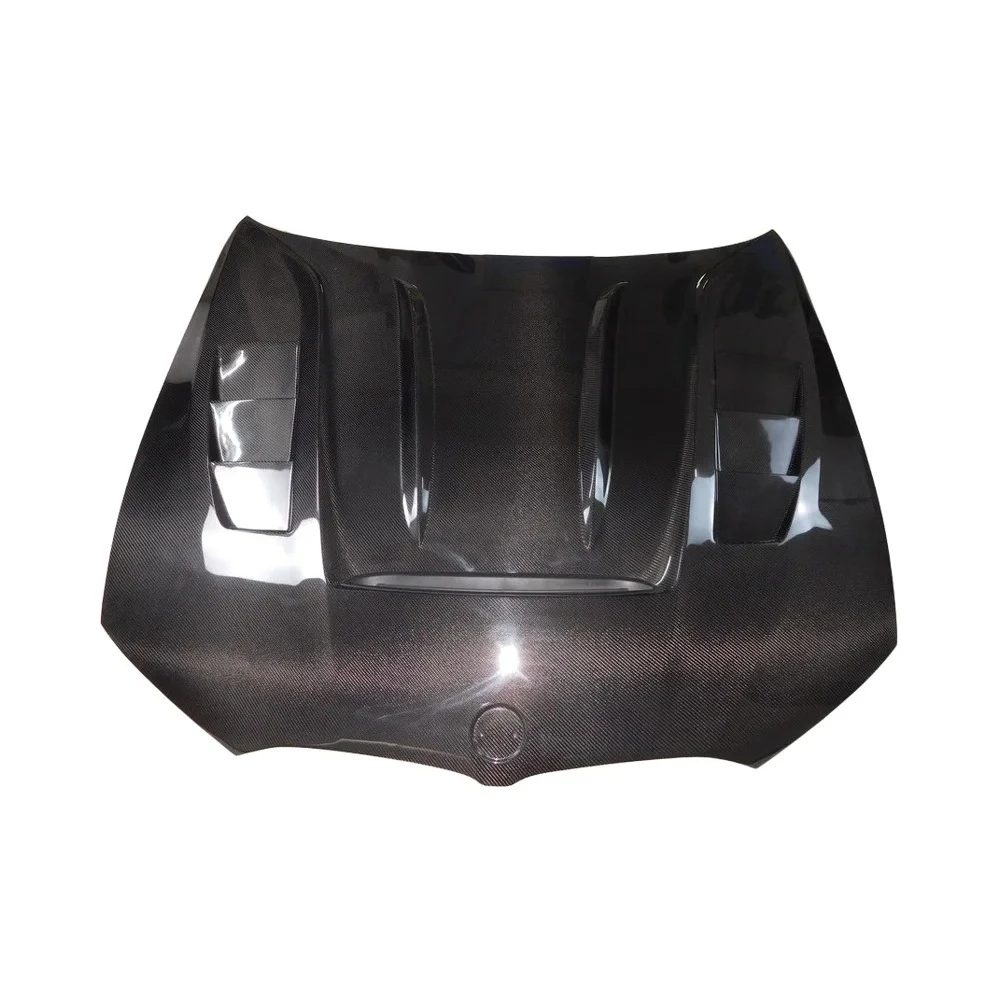 Estilo Darwin para capó de fibra de carbono serie G20 3