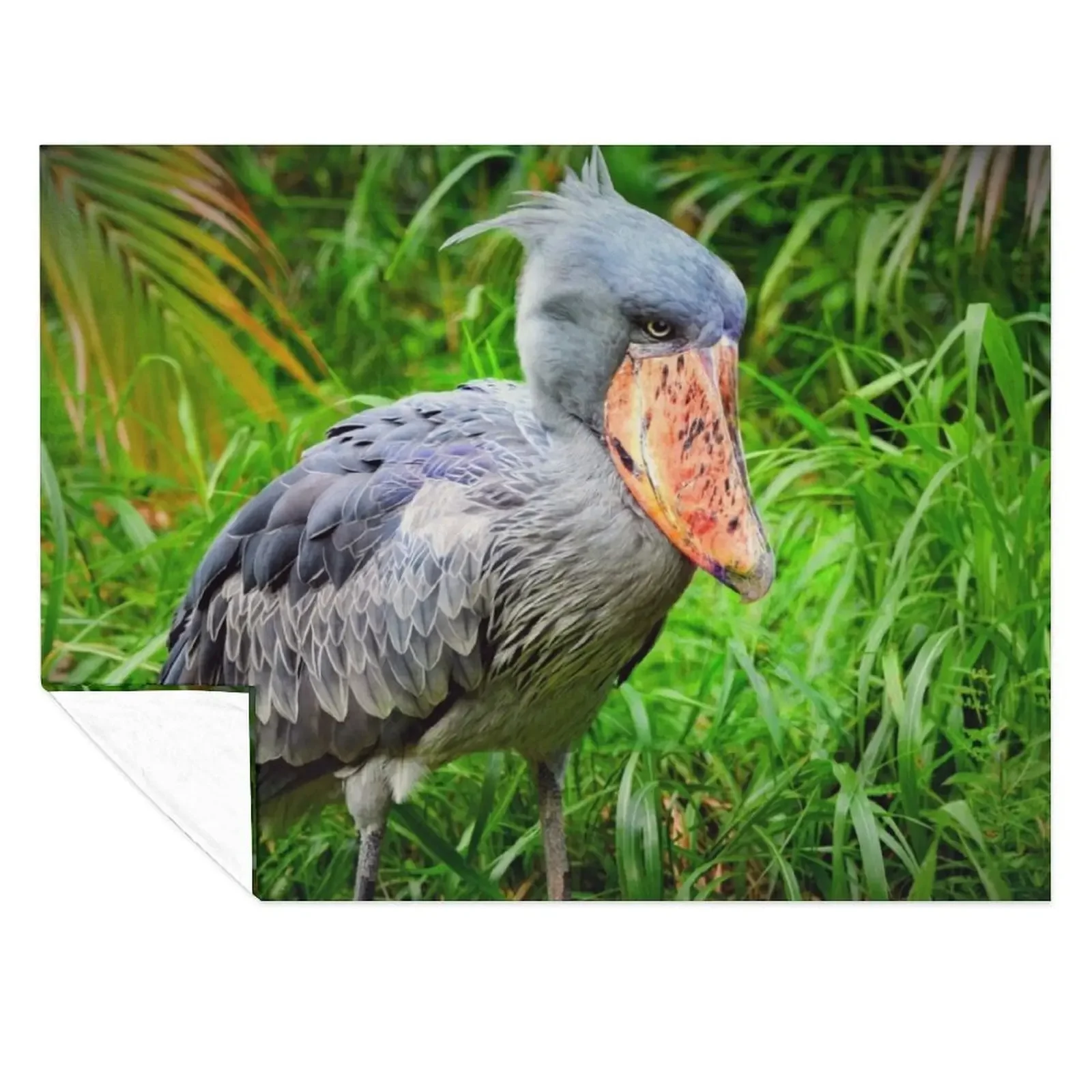 

Shoebill Balaeniceps Rex Throw Blanket for winter Moving Flannel Fabric Hairy Blankets