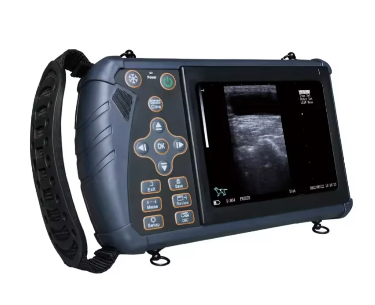 Amain Veterinary Portable Digital Pet Ultrasound Color Ultrasound Scanner For Animal