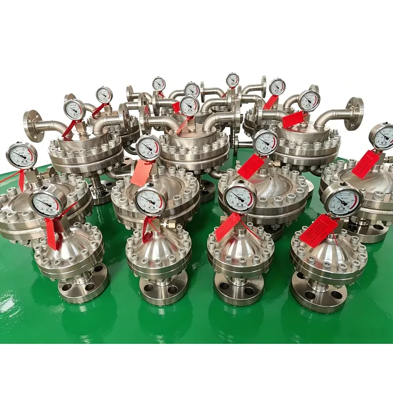0.35L-20L Hydraulic Pulsation Damper Airbag Type Dosing Metering Pump OEM Cast Iron Balloon Valve Parts DN15-DN50 316 304