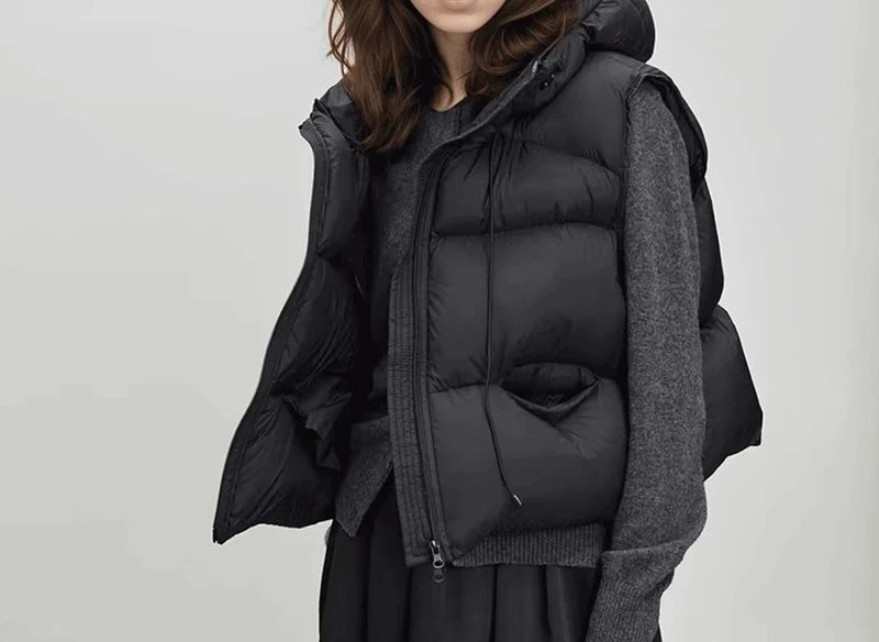 Goose Down Silk Vest Women's Hooded 2025 New Small Short Loose Vest