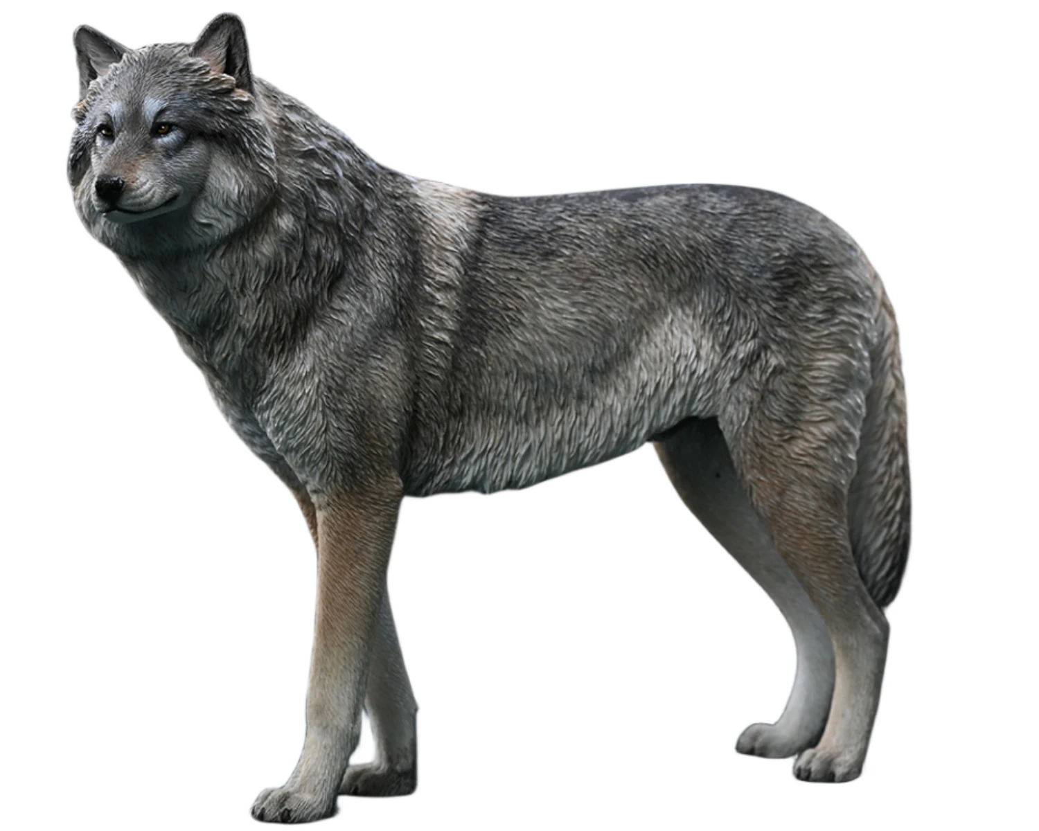

HiPlay JXK Wolf Arctic Wolf Expertly Hand-Painted Lifelike Safe Resin 1:6 Animal Figurine