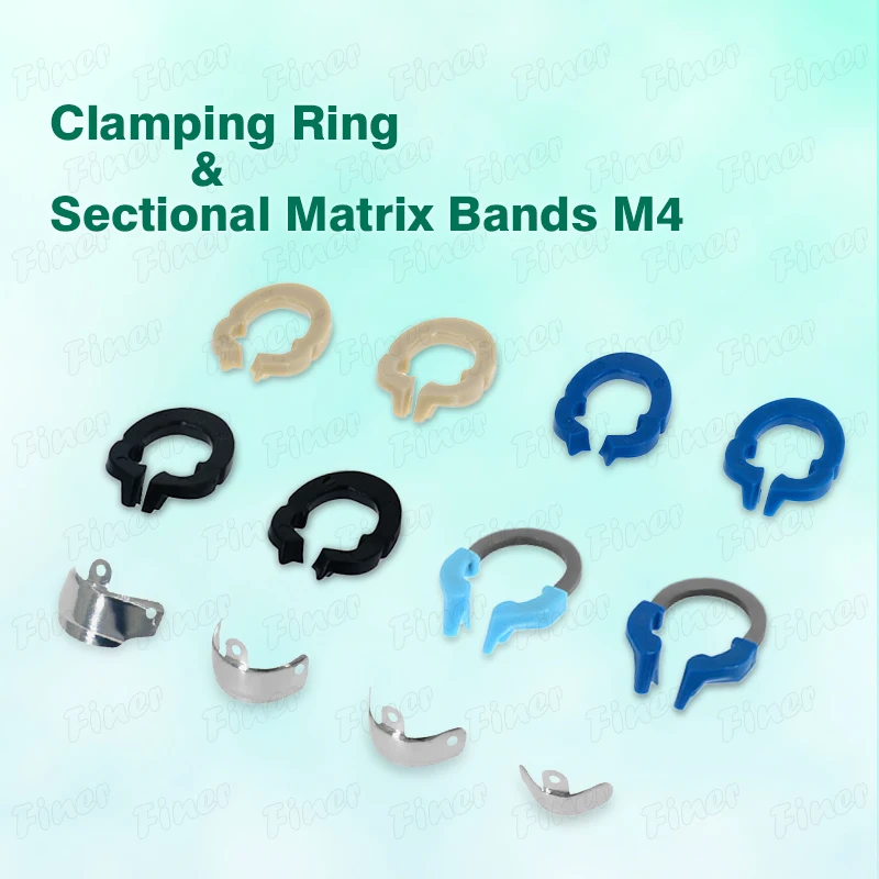 Dental Sectional Ma…