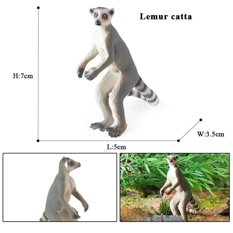 Oenux Simulation Wilde Figuren Weniger Panda Waschbär Lemur Modell Action-figuren Wald Tiere Hause Bildung Kinder Spielzeug Geschenk – Detail 10