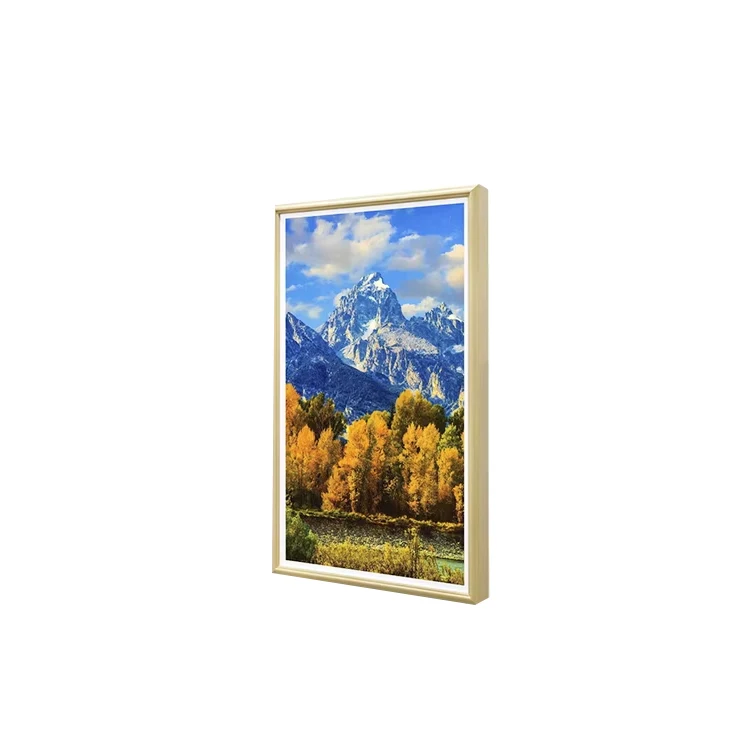 

WiFi IPS Touch Screen Digital Picture Frame Auto-Rotate Wall Mountable Frame for Photos & Videos Modern Style Printed Version