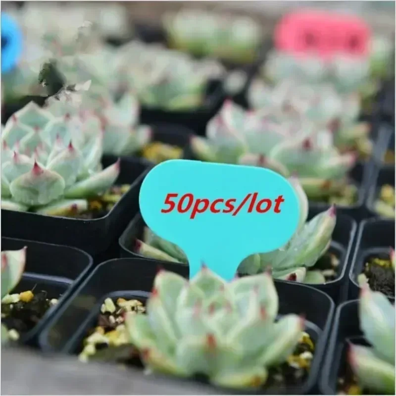 yes50Pcs T-type Garden Pots Planters Plant Labels Plant Tag Label Plastic Nursery Tray Garden Plant Label Thick Tags Mark