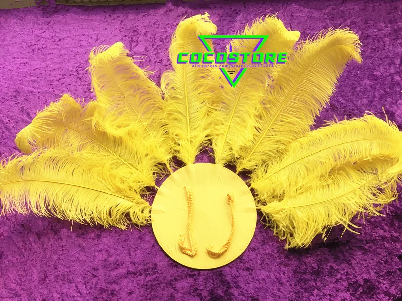 Samba Carnival Costume Brazilian Dancer Feathers Flower Backboard Feather Dance Costumes Opening Show Back Plate