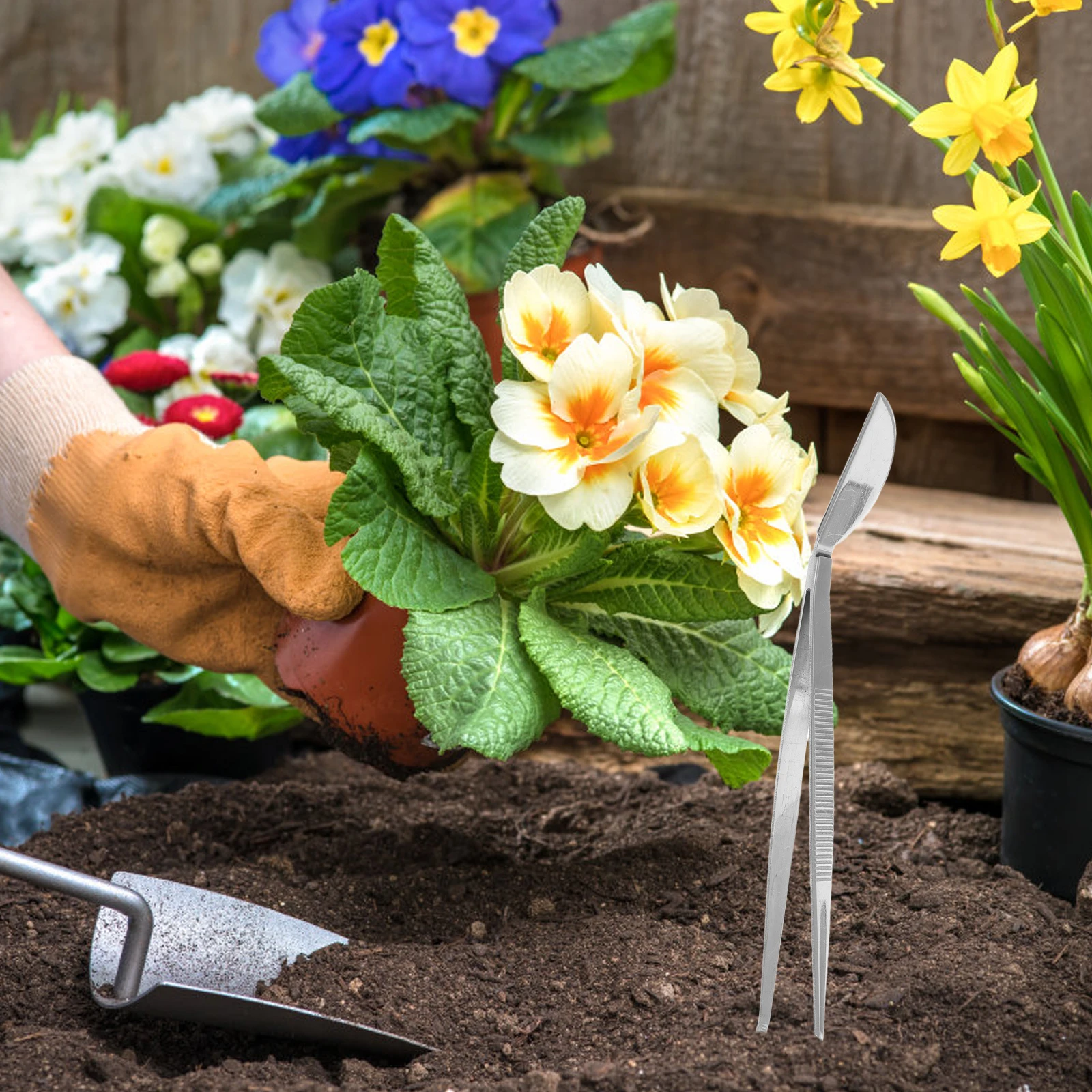 Pinzas para bonsái, herramienta de acero inoxidable, Mini rastrillo para jardinería y paisajismo, aflojador de suelo, artesanía interior, nivelación de hojas pequeña