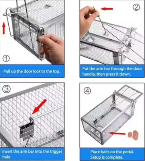 Thumbnail 4 - #29 Best Animal Traps to Buy In 2026