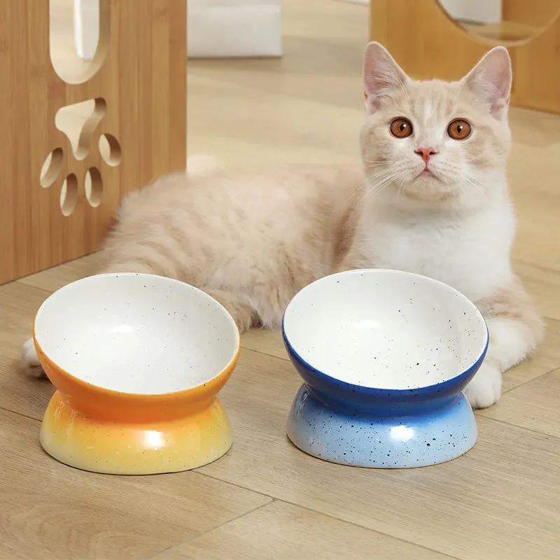 

Cat feeder ceramic bowl